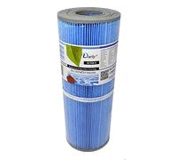 Darlly Filtre Anti-bactérien pour Spa 42513 / PRB251N / C-4326