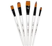 Darwi For You - Lot de pinceaux - 5 parties - rond, usé bombé, plat - taille : 20, 16, 12, 24 Blanc G