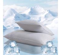 Dasellfa Taies d'Oreiller Rafraîchissantes 45x70 cm (Lot de 2) , Eisvogel-Kühlung Protège Oreiller, Anti-Statique Soie de Glace Douce Contre la Casse des Cheveux et Rides, Parure de Lit Été