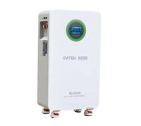 DATOUBOSS Batterie Lithium LiFePO4 48V 314Ah, 16,07kWh, BMS 200A, RS485/CAN | Batterie lithium LiFePO4 51,2V 314Ah, 16,07kWh, BMS 200A, cellules Grade A, 8000+ cycles, écran LCD tactile, RS232/RS485/CAN