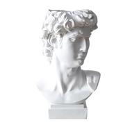 David Statue Vase à Fleurs - Planteur à tête de style romain | Porte-stylo David Sculpture | Pot de visage pour le jardin, Pot de sculpture blanc élégant pour la décoration de la maison, bureau de