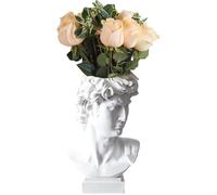 David - Vase à Fleurs - Tête David - Buste - Sculpture David Grec - Sculpture David - Tête décoration - Vase décoratif -