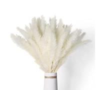 Daweglop 40 PièCes SéRies Herbe de Pampa Blanche SéChéE 45 CM Moelleux et Oscillant Bricolage Boho Plante pour Mariage Arrangements de Fleurs DéCor