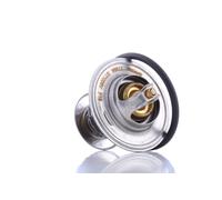 DAYCO DT1006V Thermostat d'eau
