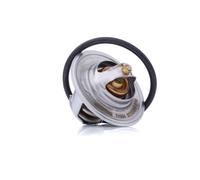 DAYCO DT1012V Thermostat d'eau