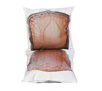 Daycollection FITIACCA9 4 Me K Lot de 2 Coussins Coton Vieux Rose 40 x 40 x 10 cm