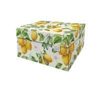 DDB Dutch Design Brand Boîte de rangement moyenne avec couvercle - 2 boîtes de rangement - Carton recyclable certifié FSC (Dimensions : 33,2 x 24,2 x 16,5 cm) - Motif : Citrons (Lemons)