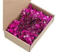 De 50 Fleurs de gypsophile séchées Faux Floral avec tiges Vertes pour Bouquets centres de Table et Affichage Artistique Bouquet de gypsophile Blanche séchée