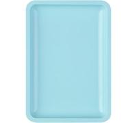 de fournitures de manucure professionnel, plateau dentaire, outils de vaisselle pour faux ongles, plateau à bijoux et à outils en acier inoxydable, Station de manucure adaptée voyages