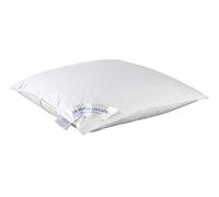 De Witte Lietaer Coussin Dream70x50 cm coton blanc