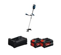 Débroussailleuse GFR 18V-25BH + 2 Batteries EXPERT 5,5 Ah + 1 Chargeur GAL 12V/18V-80 BOSCH