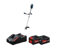 Débroussailleuse GFR 18V-25BH + 2 Batteries EXPERT 8 Ah + 1 Chargeur EXAL18V-160 BOSCH