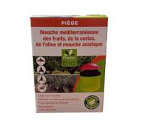 Piège pour mouche des fruits G
