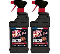 Décap'Four Décap'Feu | Nettoyant Barbecue, Grilles & Inserts | Agit en 5 min | Permet d'éliminer facilement la suie et la graisse brulée | Parfum citron | Fabriqué en France 750 mL (Lot de 2)