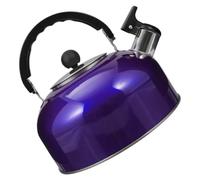 DECHOUS Bouilloire Sifflante Inox 2L Poignée Stable Résistance Chaleur Pour Bureau Cuisine Et Gaz Induction