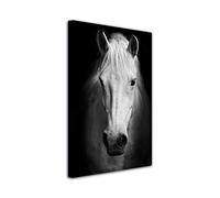 DECLINA - Tableau Mural Cheval Blanc - Esprit Équestre Élégant - Impression haute définition sur toile - Fabrication française - 80x120 cm