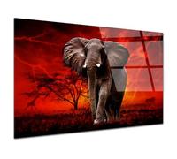 DECLINA - Tableau Mural Éléphant Sauvage SOUS LE Tonnerre - Art Mural Animalier - Photo Murale sur Verre Acrylique - Atelier Français - 80 x 50 cm