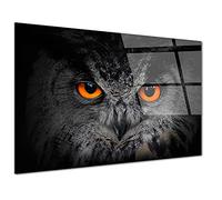 DECLINA - Tableau Mural Hibou - Art Mural Oiseaux - Impression HD Sur Verre Acrylique - Fabrication Française - 80 x 50 cm