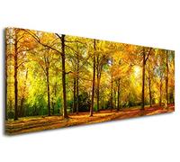 DECLINA Tableau Panoramique imprimé Foret en Automne - Impression Photo Paysage sur toile décoration murale - Déco maison, cuisine, salon, chambre adulte - 120x50 cm