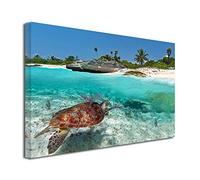 DECLINA Tableau Tortue Marine - Impression Photo Paysage sur toile décoration murale - Déco maison, cuisine, salon, chambre adulte - 80x50 cm