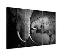 DECLINA Tableau Triptyque Éléphant Noir et Blanc - Toile - 120x80 cm | Triptyque Éléphant Noir et Blanc - décoration animalière sur toile 300 g/m², châssis pin, impression HD mate, fabrication