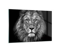 Deco Cadre Salon Portrait Lion Noir Et Blanc Moderne Impression sur Verre 120x80cm Image Tableau en Verre Decoration Murale Chambre Horizontal Art Grand XXL Tableaux Decoratifs Muraux GAA120x80-4494