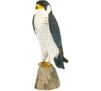 decobird faucon pèlerin G