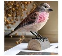 décobird linotte mélodieuse