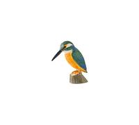 decobird martin pêcheur