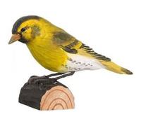 décobird tarin des aulnes G