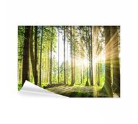 decomonkey - Papier Peint Panoramique Adhésif Foret 441x315 cm - Stickers Muraux Salon Chambre Déco XXL Autocollant Bureau - Blanc vert beige - Des arbres forêt feuilles nature paysage soleil