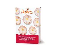 Decora 0803023 KIT 5 COUPOIRS Rose MUSQUÉE, Plastique