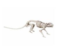 Décoration - BOLAND - Rat Squelette - 35 cm - Blanc - Pour Halloween