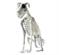 Décoration d'Halloween : squelette de chien assis effrayant avec des dents.