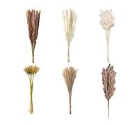 Décoration en Pampas Séchées Pampa Naturelle Décoration Fleurs Séchées Bouquet Décor Pampas avec des Fleurs Séchée de Queue de Lapin, pour Déco Intérieur, Chambre, Boho Mariage (120)