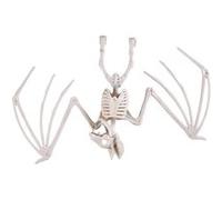 Décoration Halloween à suspendre avec squelette de chauve-souris 16 x 30 cm (x1) REF/22239 - ptit clown blanc G
