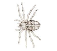 Décoration Halloween - Araignée Squelette - BOLAND - 24 cm - Intérieur