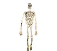 Décoration Halloween avec grand squelette à suspendre de 150 cm (x1) REF/60067 - ptit clown blanc G