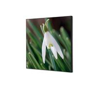 Décoration Murale en tissu SET 40 x 40 Fleur Blanche Spirée