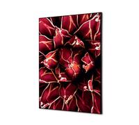 Décoration Murale en tissu SET A2 Cactus Rouge