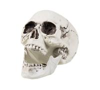Décoration squelette - BOLAND - 228368 - 24 x 18 cm - Tête de mort PVC articulée - Beige