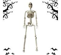 Décoration Squelette Squelette Réaliste De Quatre-Vingt-Centimètres Avec | Décoration d'Halloween pour extérieur pour cour, porche, jardin, pelouse, maison hantée et intérieu