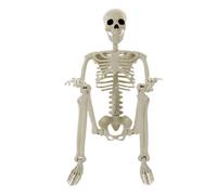 Décoration Squelette Squelette Réaliste De Quatre-Vingt-Centimètres Avec | Décorations D'Halloween pour Cour Jardin Pelouse Porche Fête Maison Hantée et Intérieur