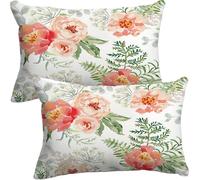 Decorative Taie Oreiller 50x70 Cm Lot De 2，Rectangle Housse De Coussin 40x60, Canapé Taie D'oreiller 30x50 Pour Oreiller Maison Salon Chambre Décoration D'intérieur(Colour 16,40x60 cm Pack of 2)