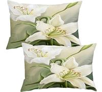Decorative Taie Oreiller 50x70 Cm Lot De 2，Rectangle Housse De Coussin 40x60, Canapé Taie D'oreiller 30x50 Pour Oreiller Maison Salon Chambre Décoration D'intérieur(Colour 3,30x50 cm Pack of 2)