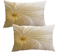 Decorative Taie Oreiller 50x70 Cm Lot De 2，Rectangle Housse De Coussin 40x60, Canapé Taie D'oreiller 30x50 Pour Oreiller Maison Salon Chambre Décoration D'intérieur(Colour 2,30x50 cm Pack of 2)