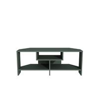 DECOROTIKA Meuble TV, Bois d'ingénierie, Vert Silva, Height: 46,8 cm/Width: 120 cm/Depth: 19,6 cm