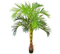 Decovego Palmier Areca Plante Arbre Artificielle Artificiel 180cm