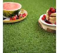 Decoweb Gazon synthétique Brunch - 18 mm - 1m x 10m