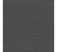 Decoweb Moquette Stand Event - Gris Souris - 2m x 10ml